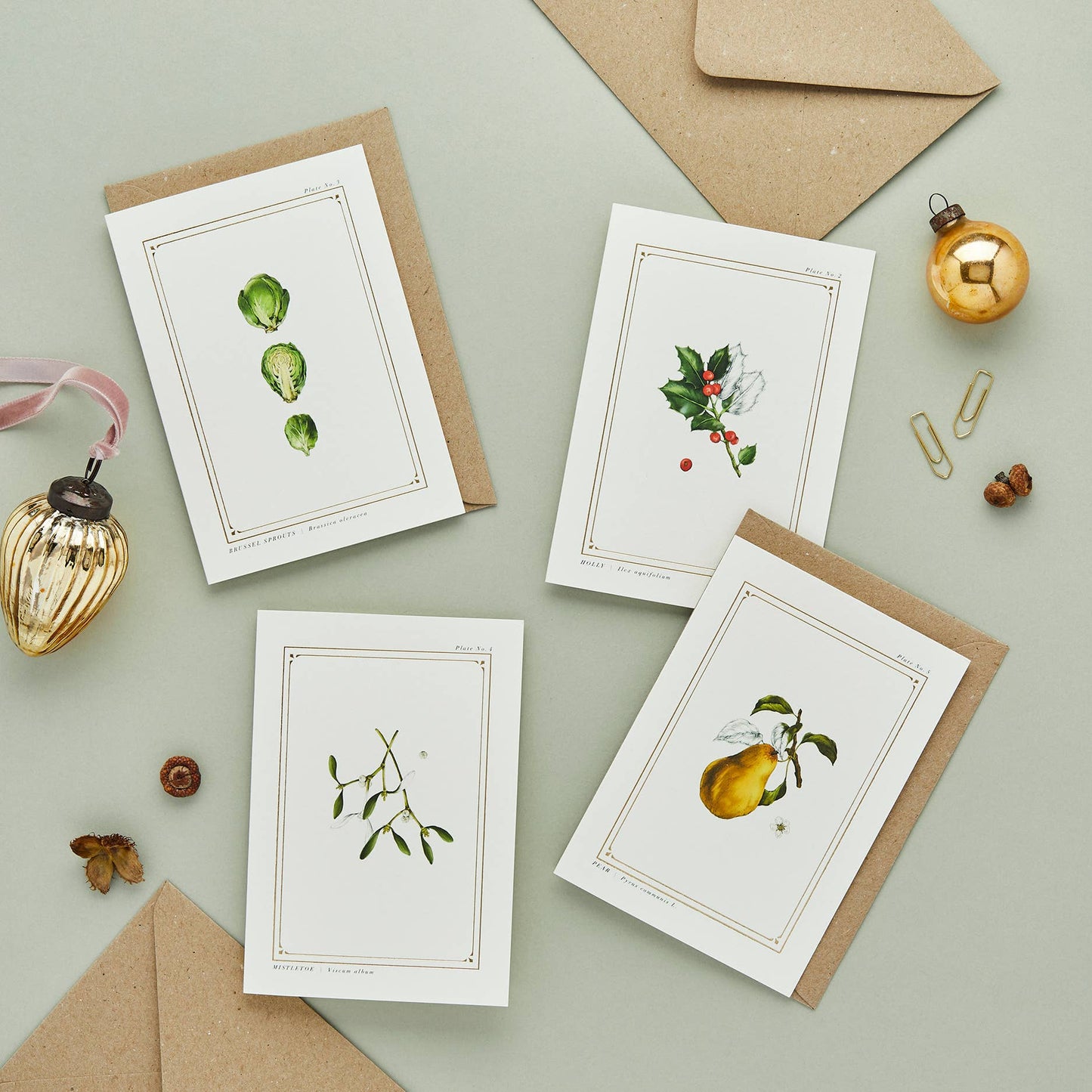 Brussel Sprouts -The Botanist Archive :Festive Edition- Card