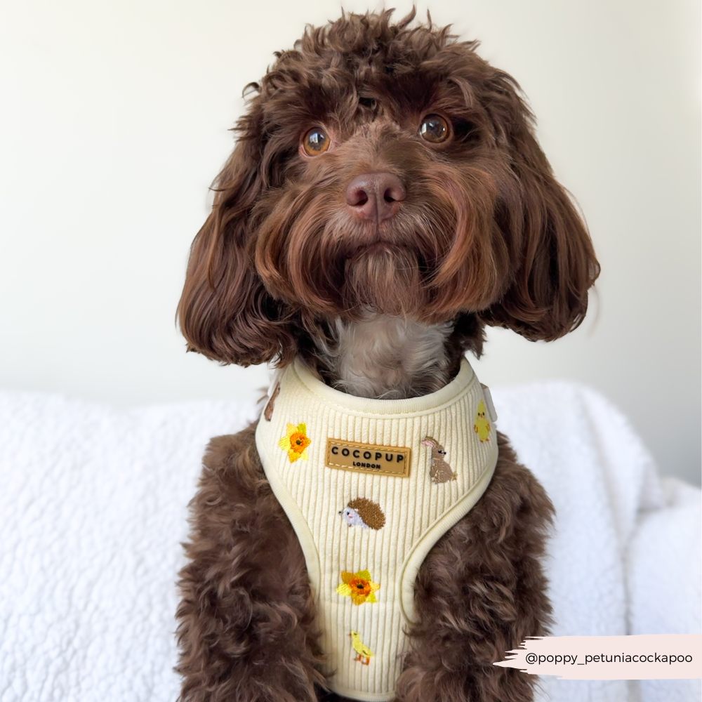 Embroidered Spring Animals Woodland Walkies Adjustable Neck Dog Harness - Cocopup