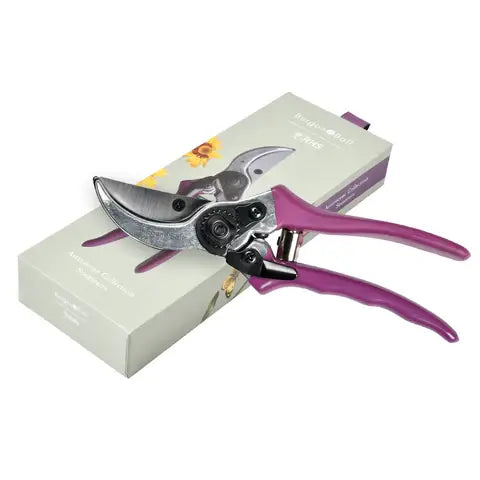 RHS Gift Boxed Secateurs Asteraceae