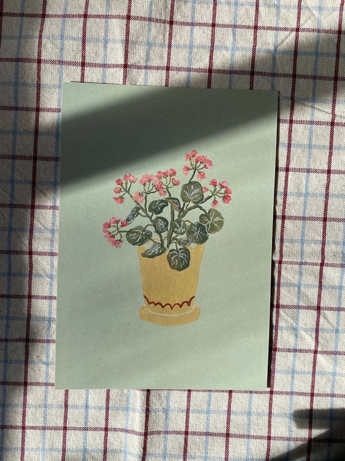 Geraniums - A5 Print