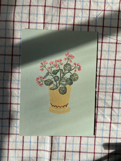 Geraniums - A5 Print