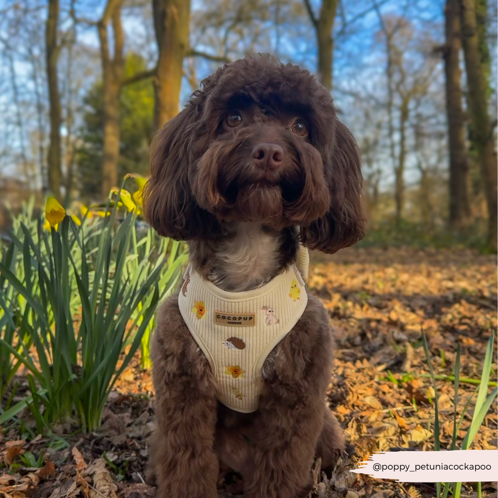 Embroidered Spring Animals Woodland Walkies Adjustable Neck Dog Harness - Cocopup