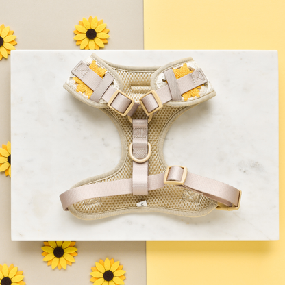 Sunflower Patch Adjustable Neck Harness