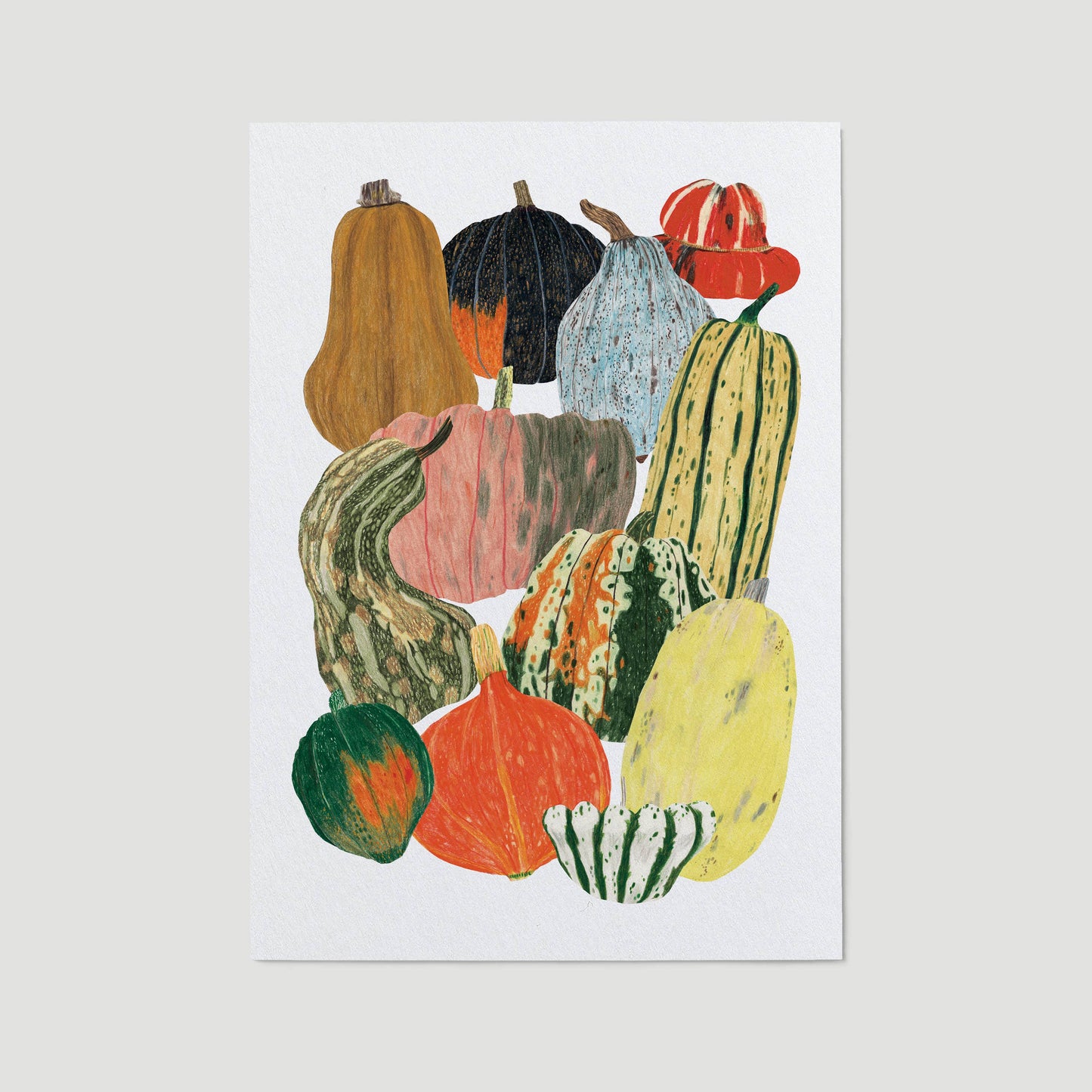 Pumpkin Squash Vegetables Art Print
