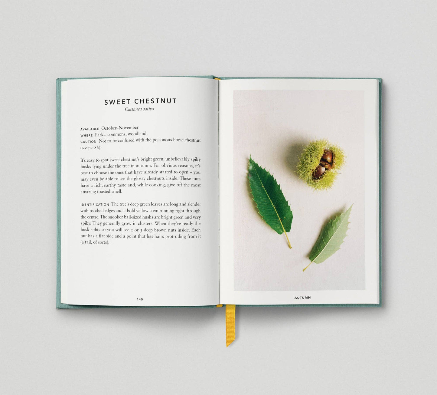 The Urban Forager: Find and Cook Wild Food in the City by Wross Lawrence & Marco Kesseler Book