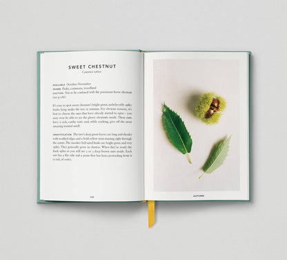 The Urban Forager: Find and Cook Wild Food in the City by Wross Lawrence & Marco Kesseler Book