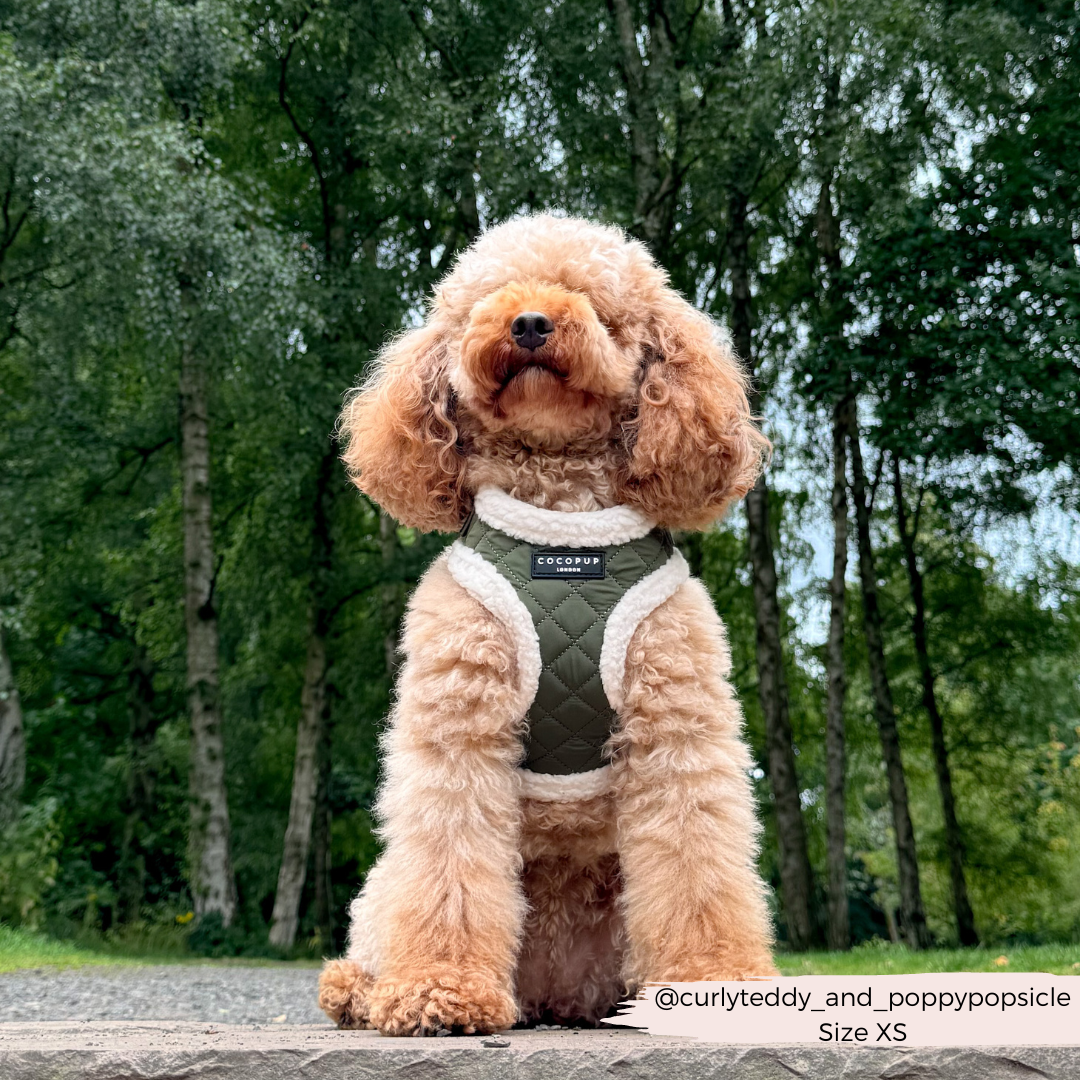 Khaki Quilted Adjustable Neck Dog Harness - Cocopup