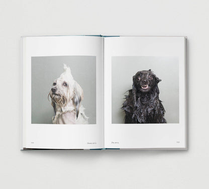 Dog. New Photography of the Dog Book by Jilke Golbach