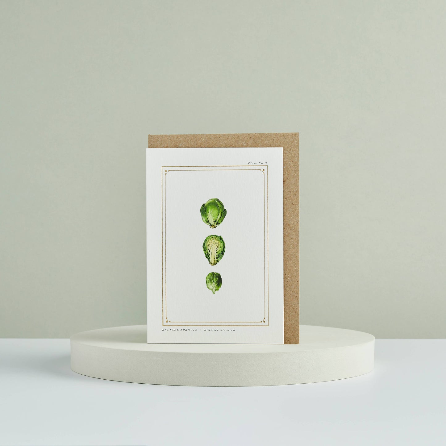 Brussel Sprouts -The Botanist Archive :Festive Edition- Card