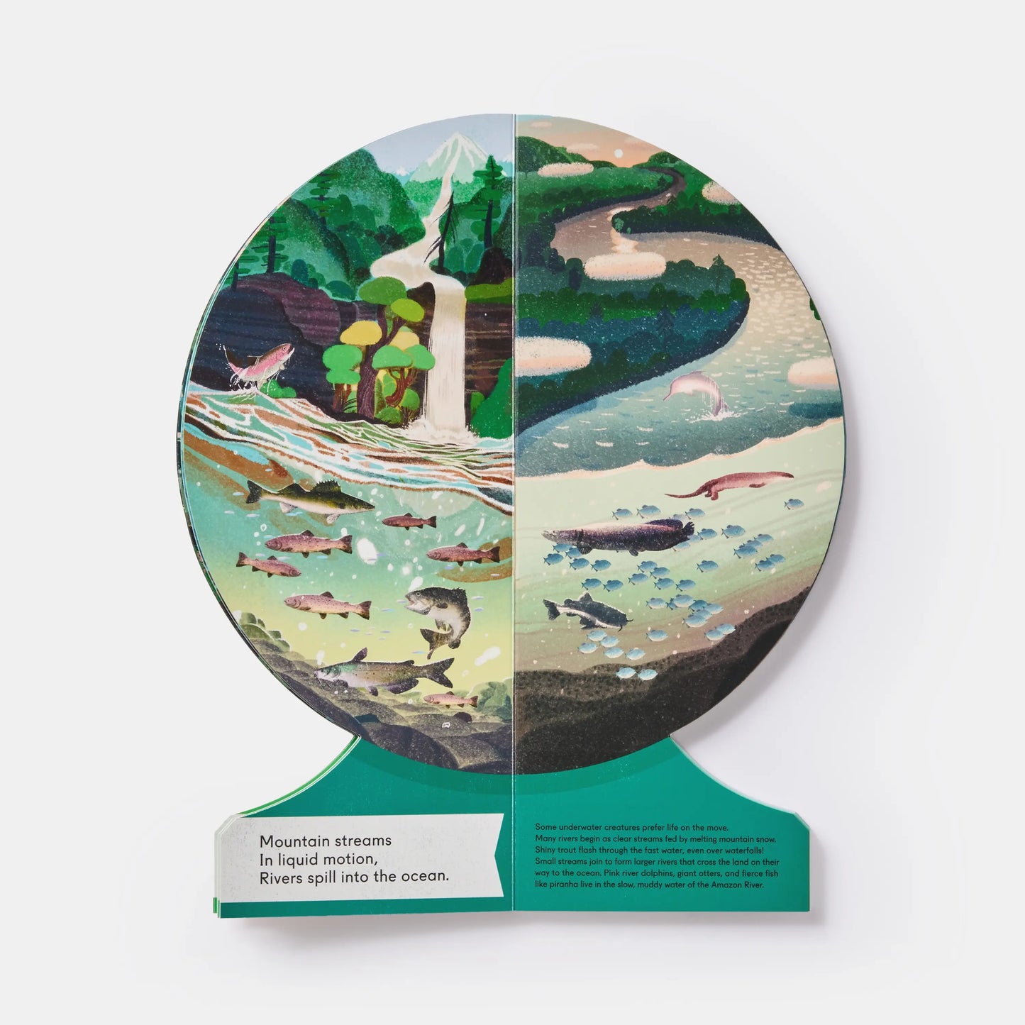 Our Underwater World Childrens Book Freestanding Globe