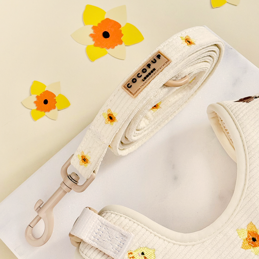 Embroidered Daffodils Woodland Walkies Dog Lead - Cocopup