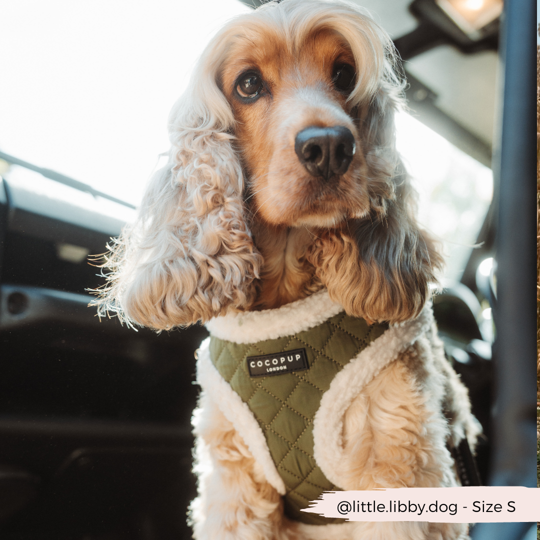 Khaki Quilted Adjustable Neck Dog Harness - Cocopup