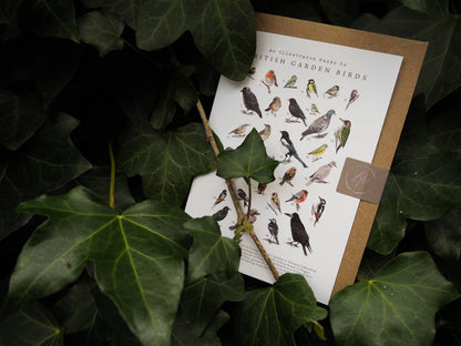 British Garden Birds Card