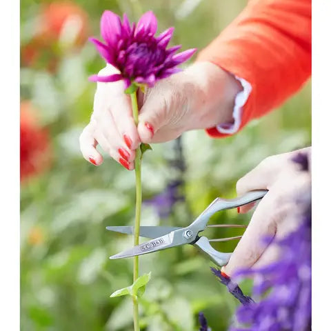 Precision Secateurs Gift Boxed - by Sophie Conran