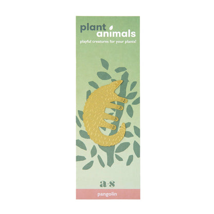 House Plant Animal - Pangolin