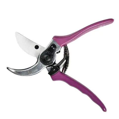 RHS Gift Boxed Secateurs Asteraceae