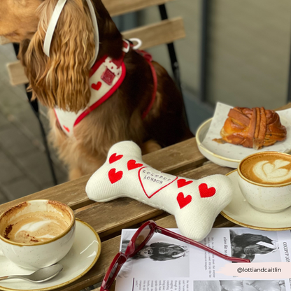 Love Hearts Hugs & Knitted Bone Dog Toy - Cocopup