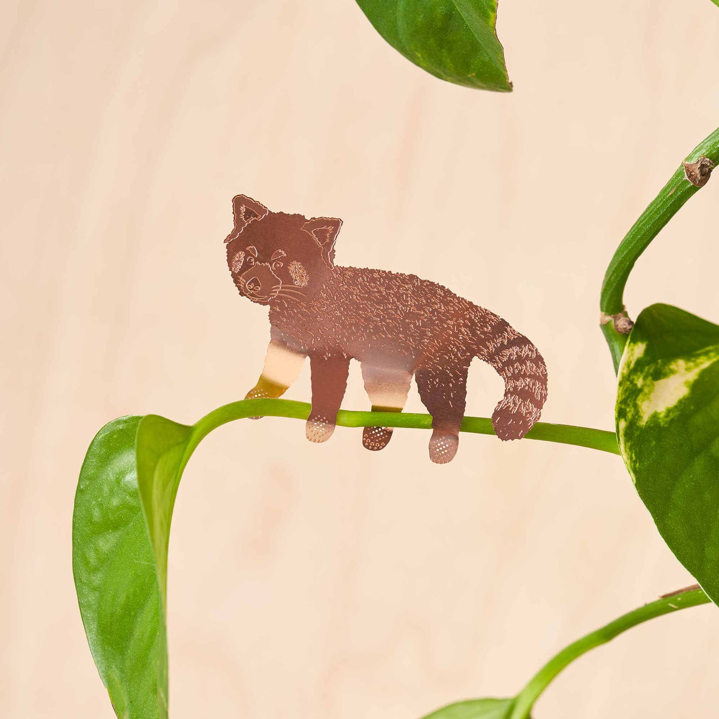 House Plant Animal - Red Panda