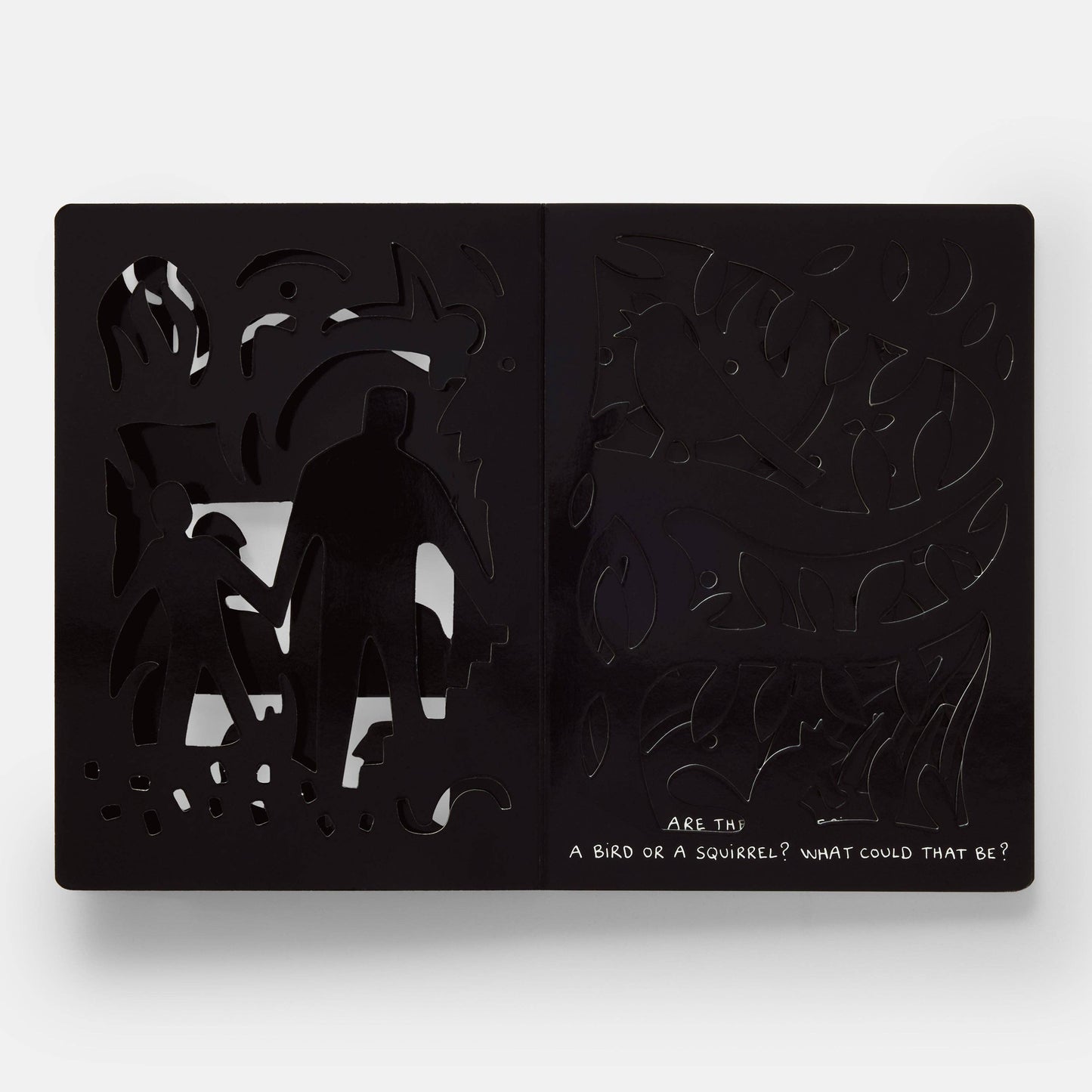 The Game of Shadows Childrens Book by Hervé Tullet