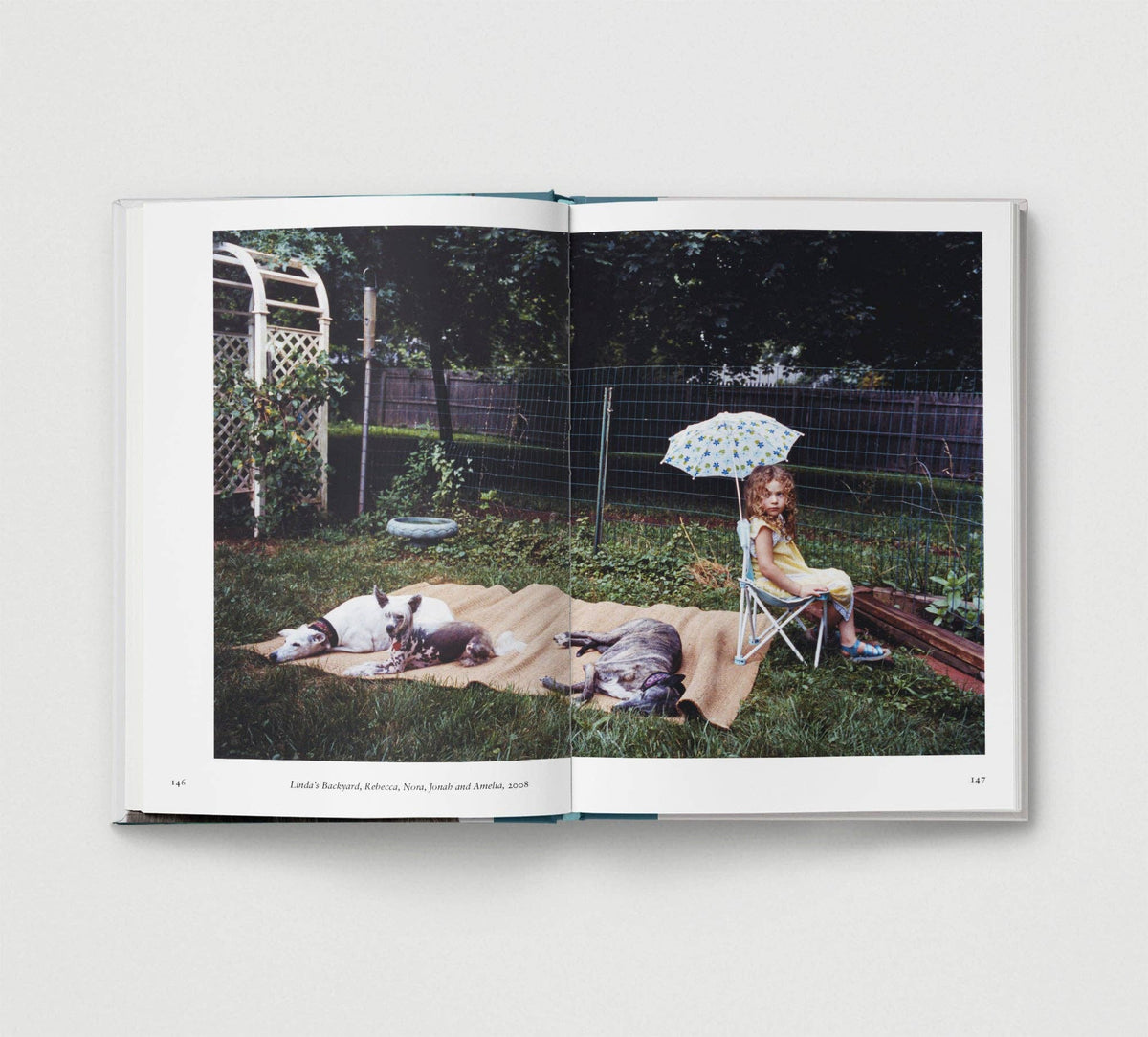Dog. New Photography of the Dog Book by Jilke Golbach