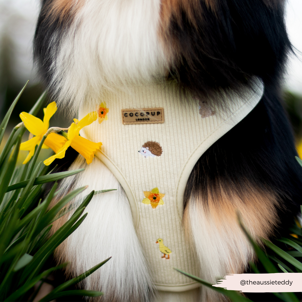 Embroidered Spring Animals Woodland Walkies Adjustable Neck Dog Harness - Cocopup