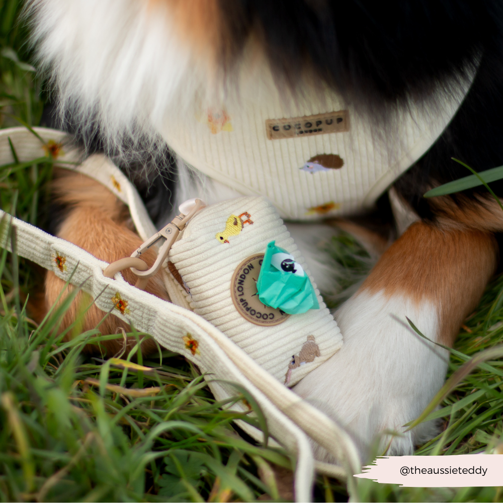 Embroidered Daffodils Woodland Walkies Dog Lead - Cocopup