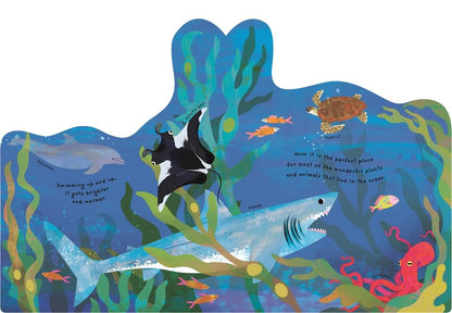 Animal Homes - Ocean Board Book