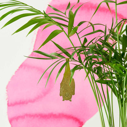 House Plant Animal - Fruit Bat