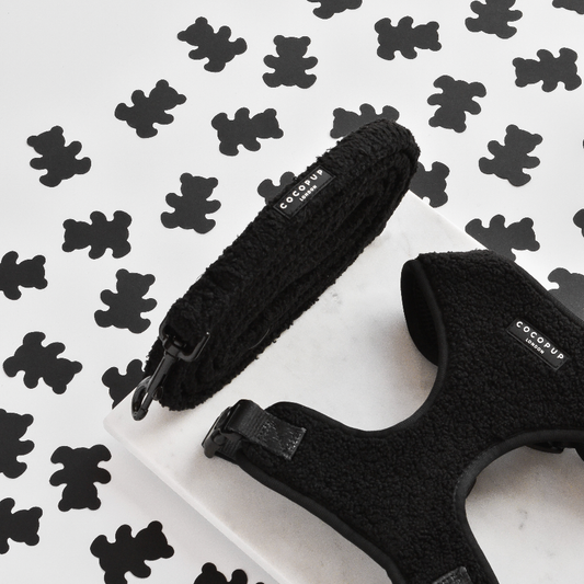 Teddy Dog Lead - Black