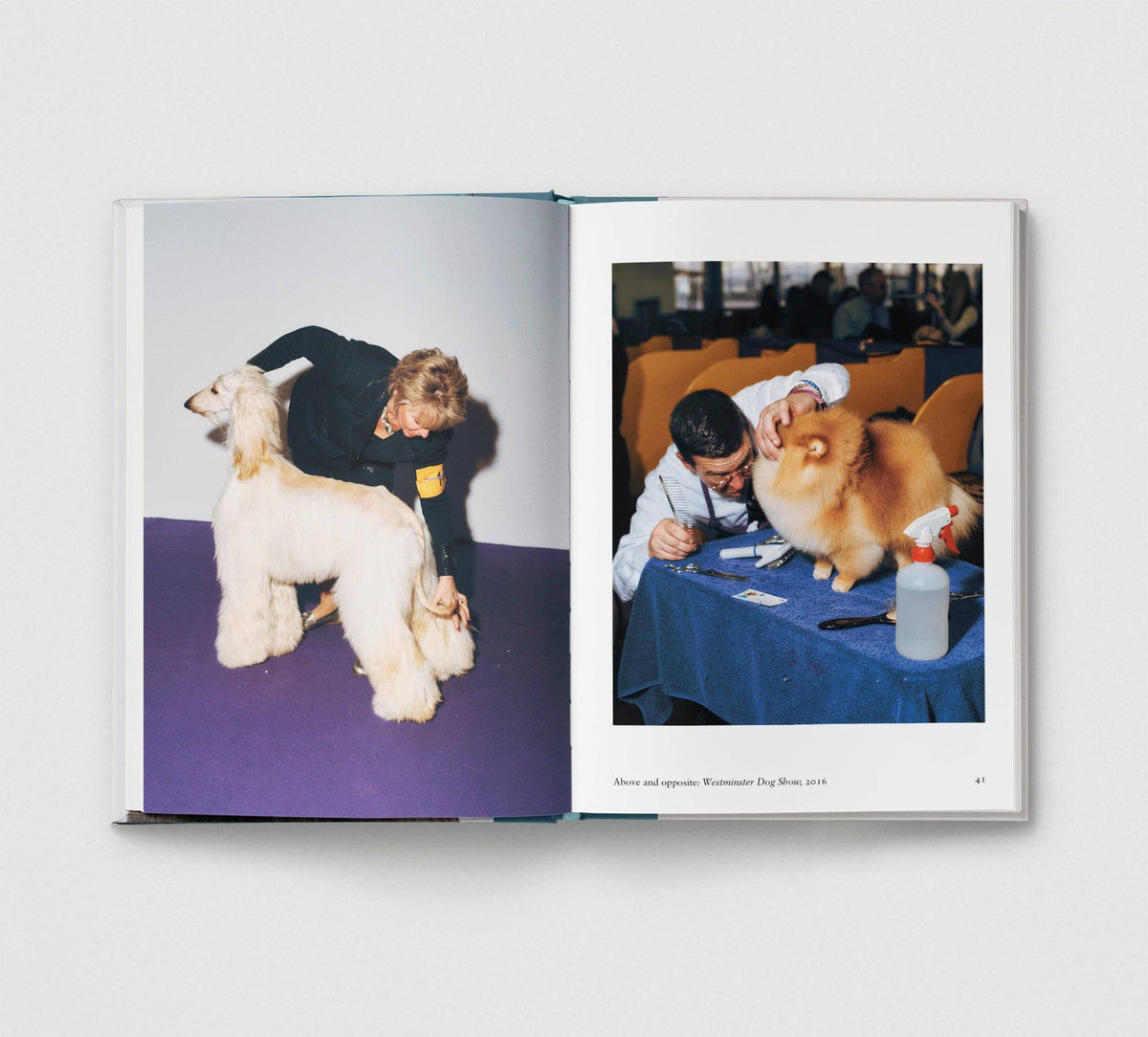Dog. New Photography of the Dog Book by Jilke Golbach