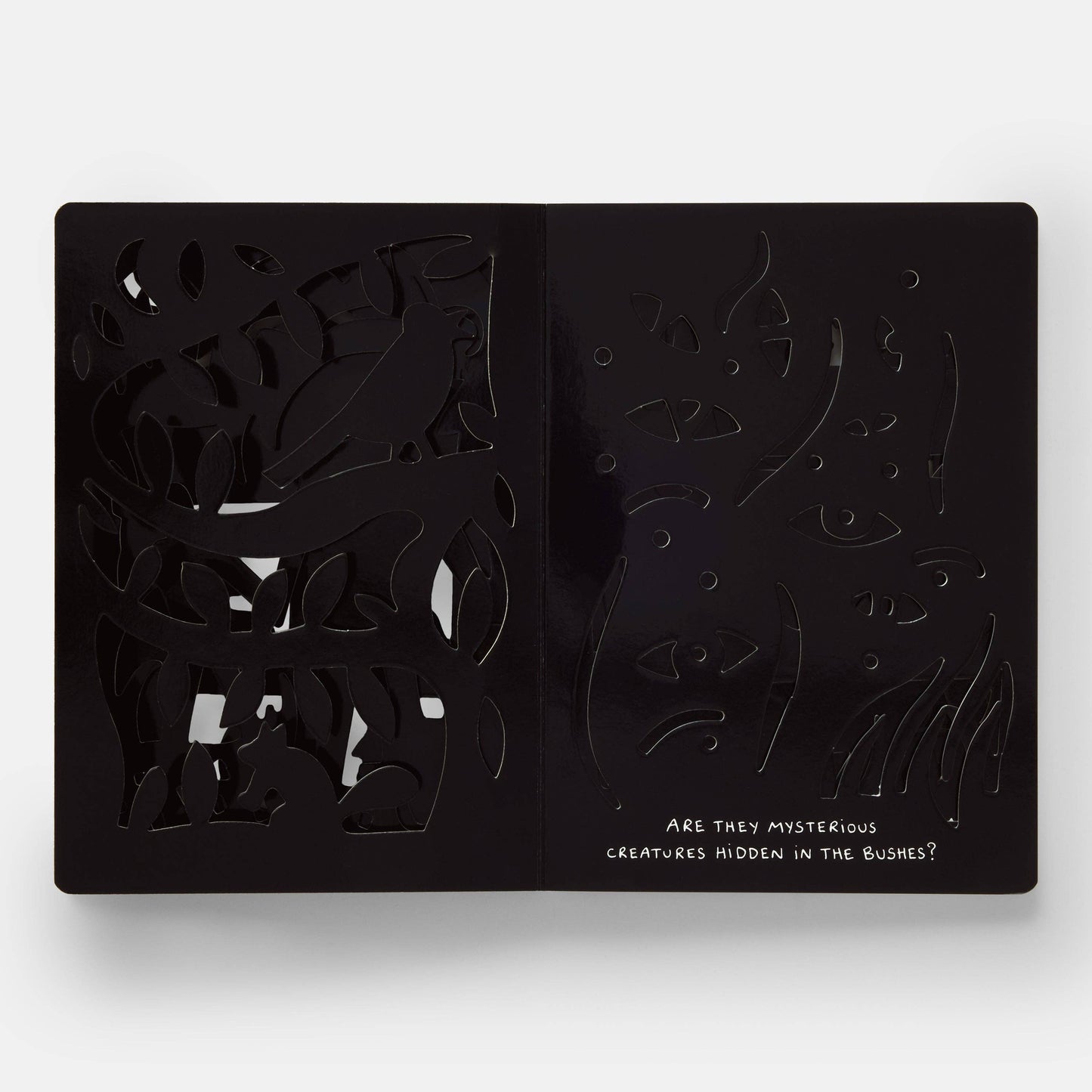 The Game of Shadows Childrens Book by Hervé Tullet