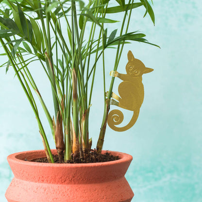 House Plant Animal - Bush Baby