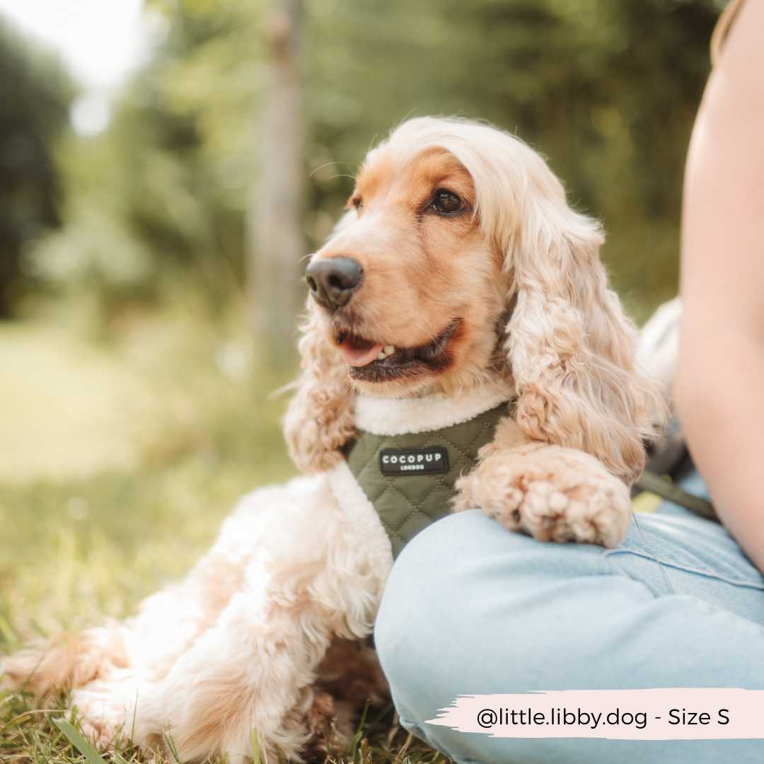 Khaki Quilted Adjustable Neck Dog Harness - Cocopup
