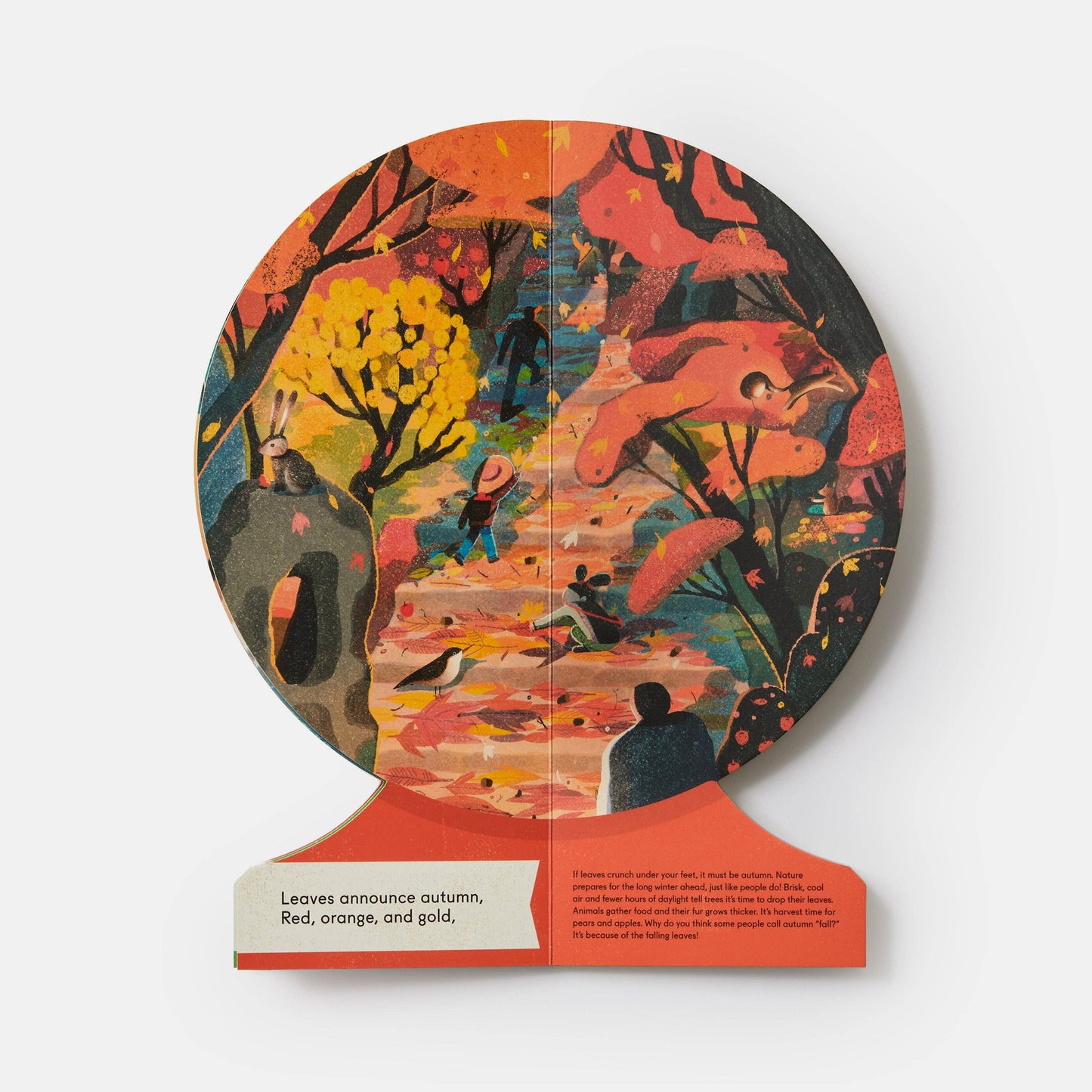 Our Seasons: The World in Winter Spring Summer and Autumn Childrens Book Globe