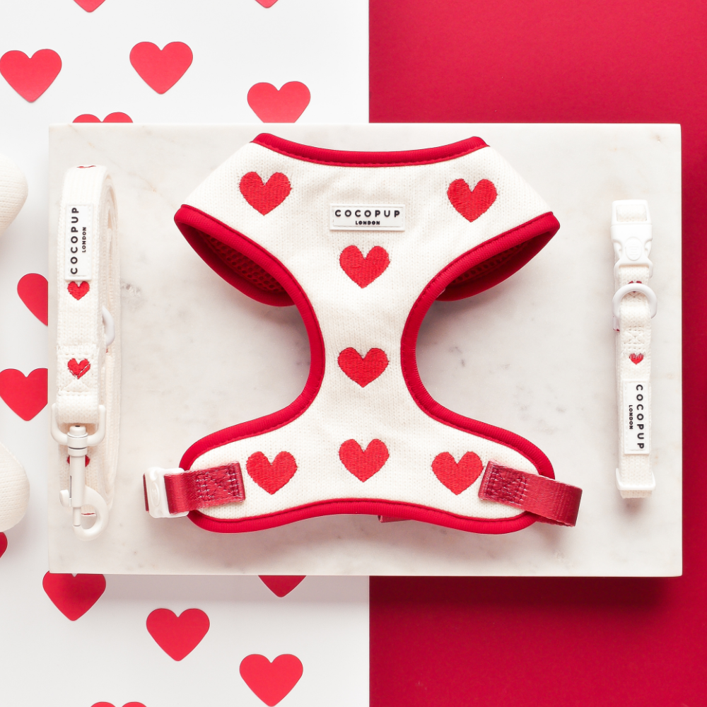 Love Hearts Hugs & Knitted Dog Lead - Cocopup
