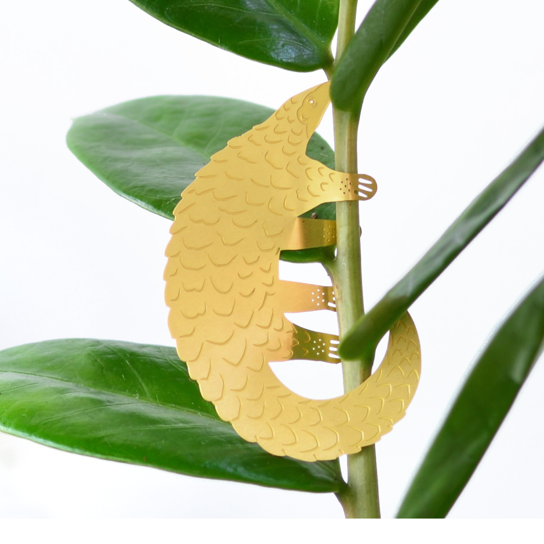 House Plant Animal - Pangolin