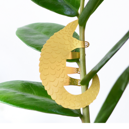 House Plant Animal - Pangolin