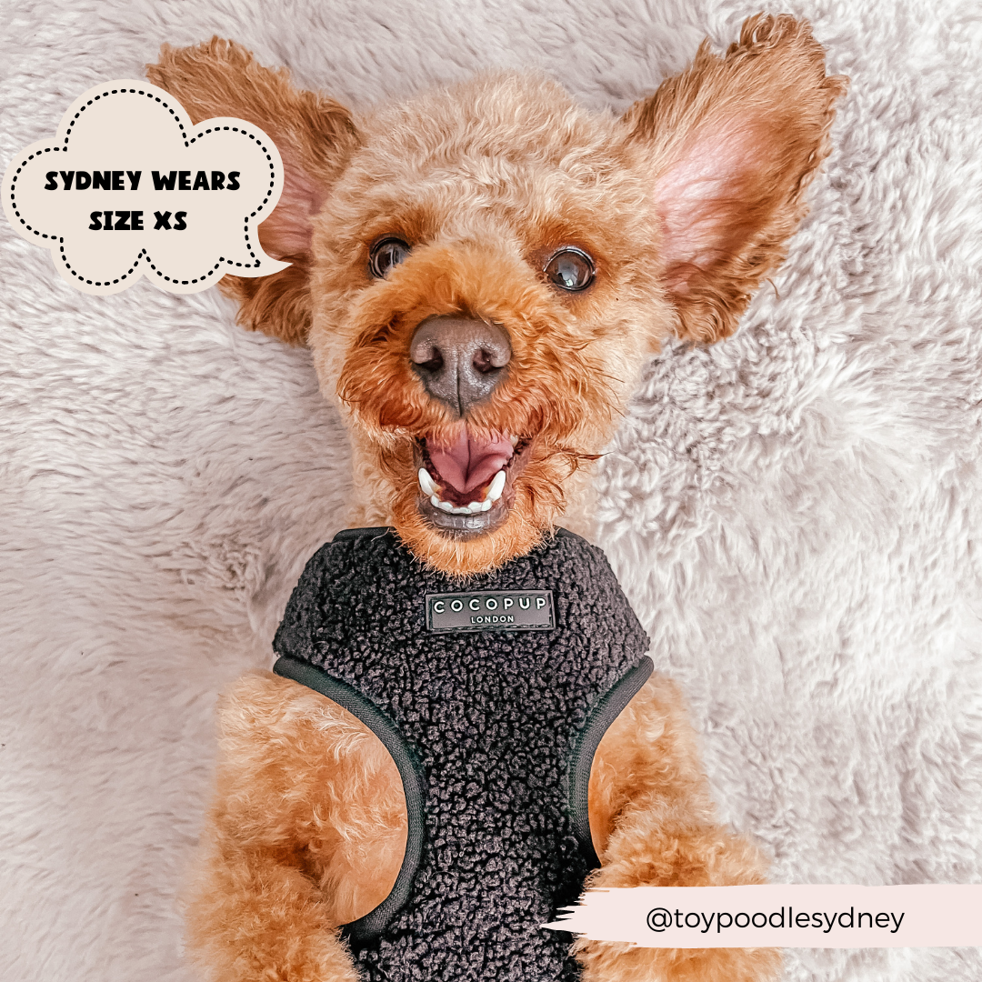 Teddy Adjustable Neck Harness in Black