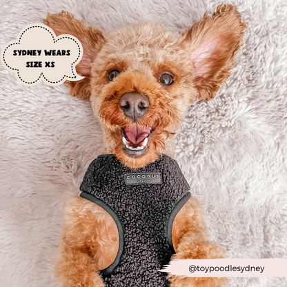 Teddy Adjustable Neck Harness in Black