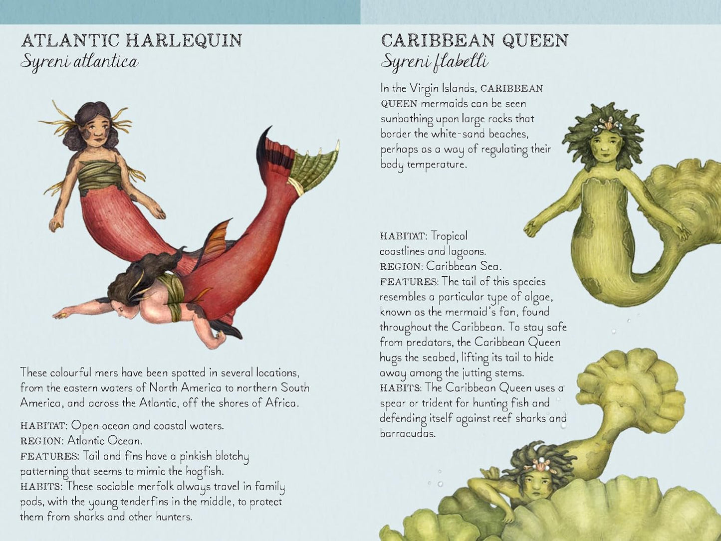 Match the Mermaids Memory Game