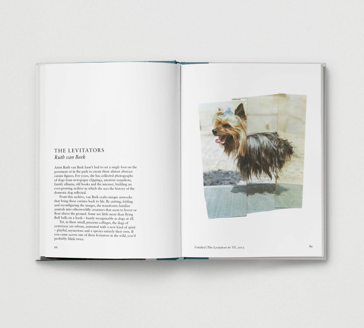 Dog. New Photography of the Dog Book by Jilke Golbach