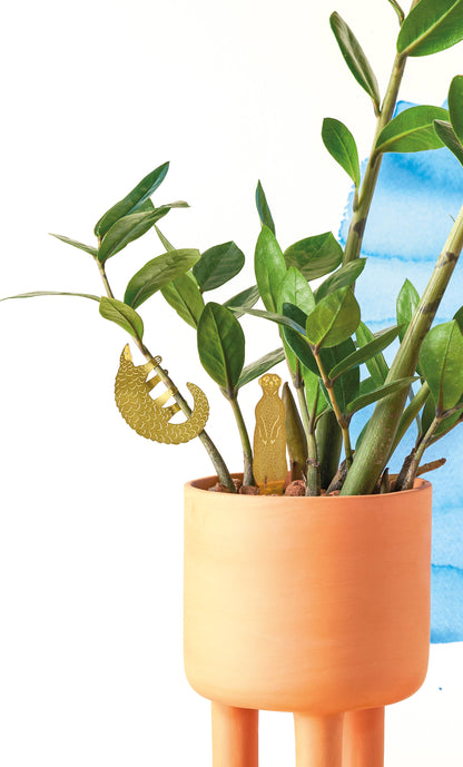 House Plant Animal - Pangolin