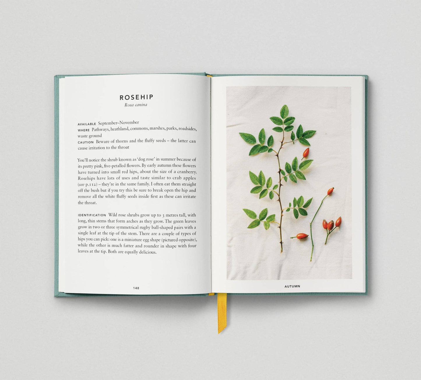 The Urban Forager: Find and Cook Wild Food in the City by Wross Lawrence & Marco Kesseler Book