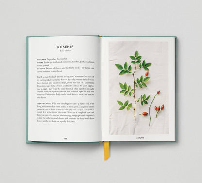 The Urban Forager: Find and Cook Wild Food in the City by Wross Lawrence & Marco Kesseler Book