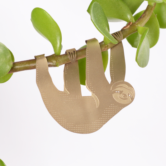 House Plant Animal - Sloth