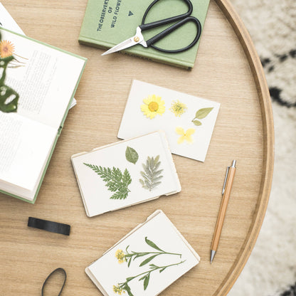 Pocket Flower Press - Tulip