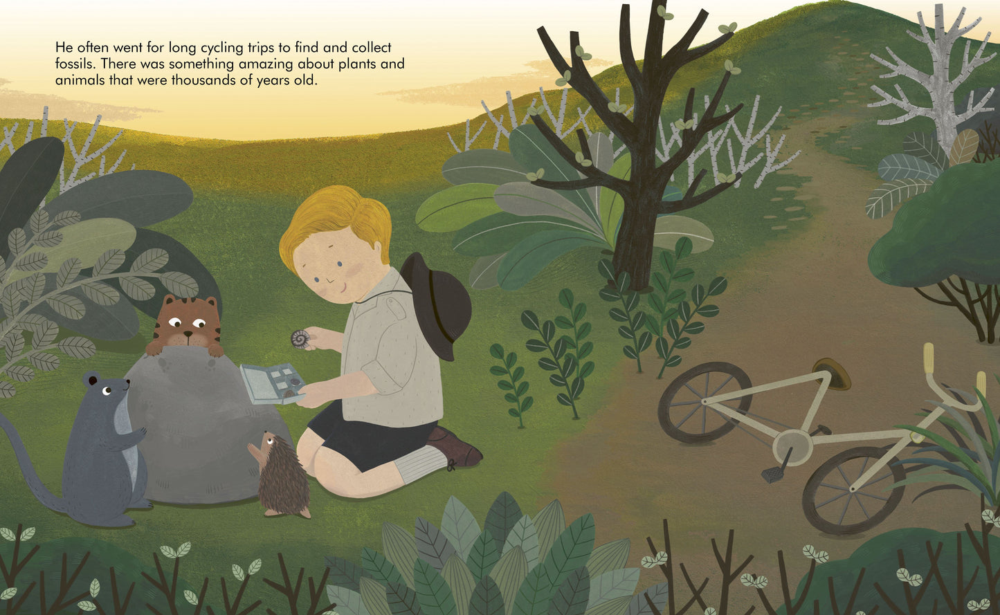 David Attenborough Little People Big Dreams Book