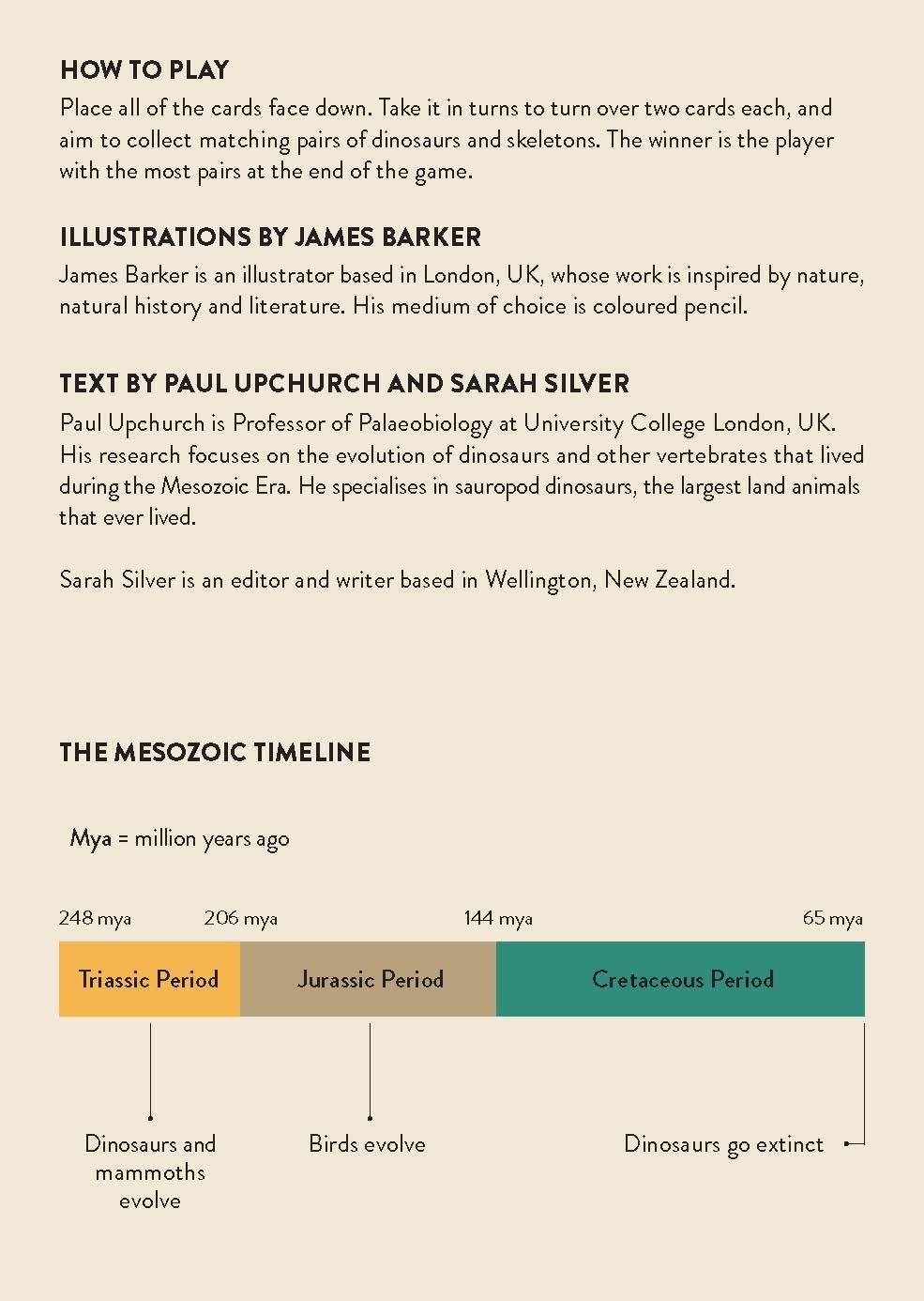 Match these Bones: A Dinosaur Memory Game