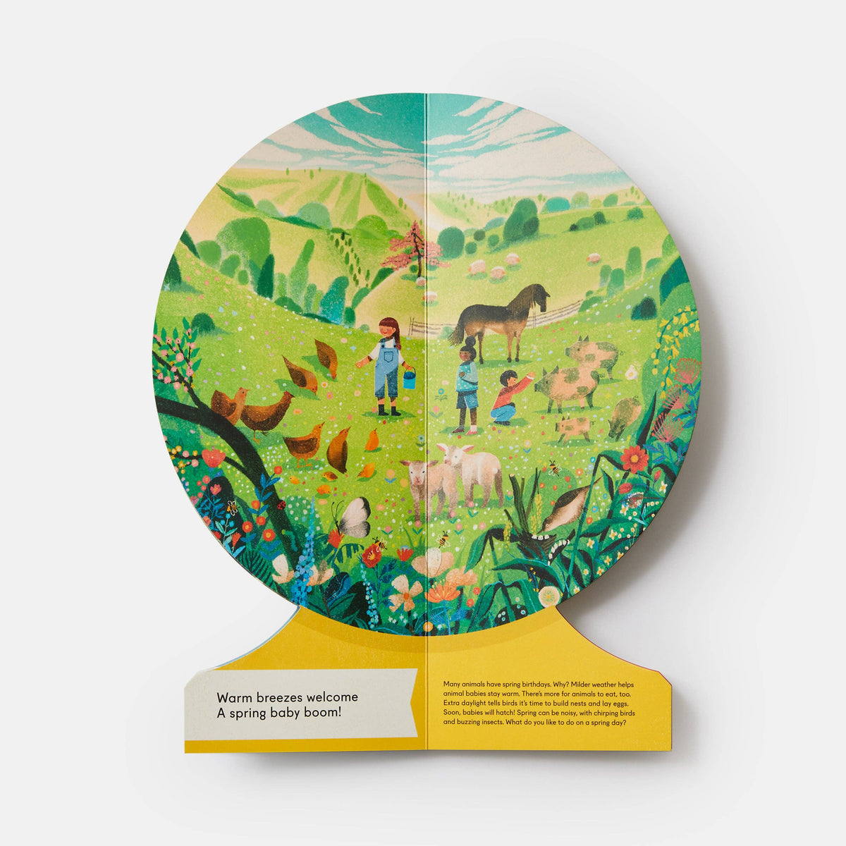 Our Seasons: The World in Winter Spring Summer and Autumn Childrens Book Globe