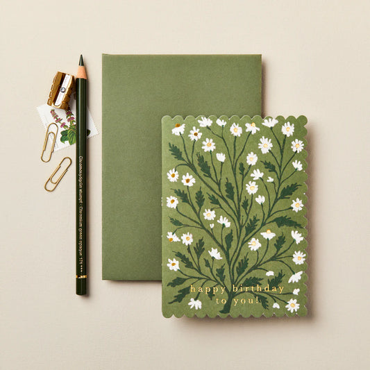 Daisy Happy Birthday to You Card